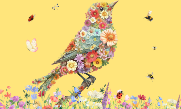 Le printemps est là : les bons gestes pour protéger la faune sauvage