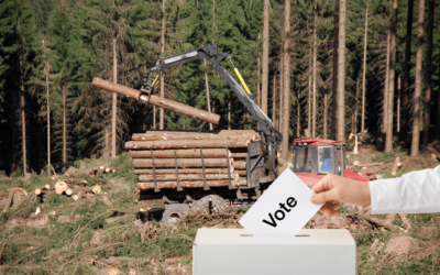 Municipales et projets écocides