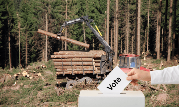 Municipales et projets écocides