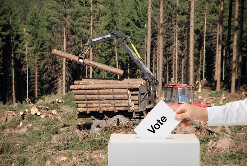 Municipales et projets écocides