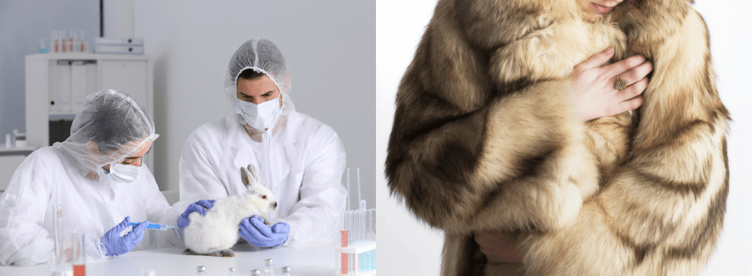 Quels sont les facteurs clés du succès des mobilisations