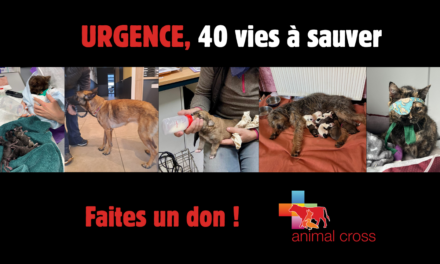 Ensemble, sauvons ces 40 vies !