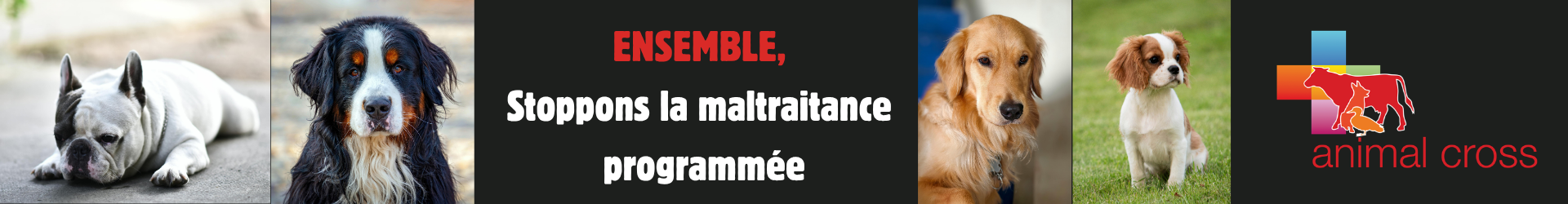 Bannière Helloasso
