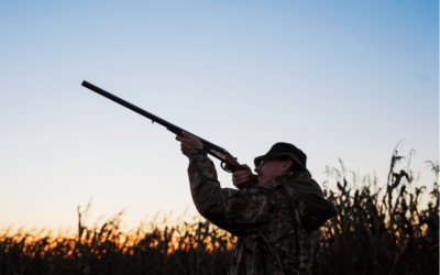Consultation public : Plan de chasse dans le 64 pour la période 2026-2032