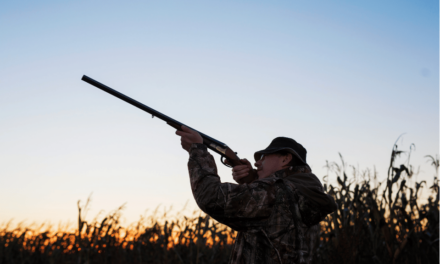Consultation public : Plan de chasse dans le 64 pour la période 2026-2032