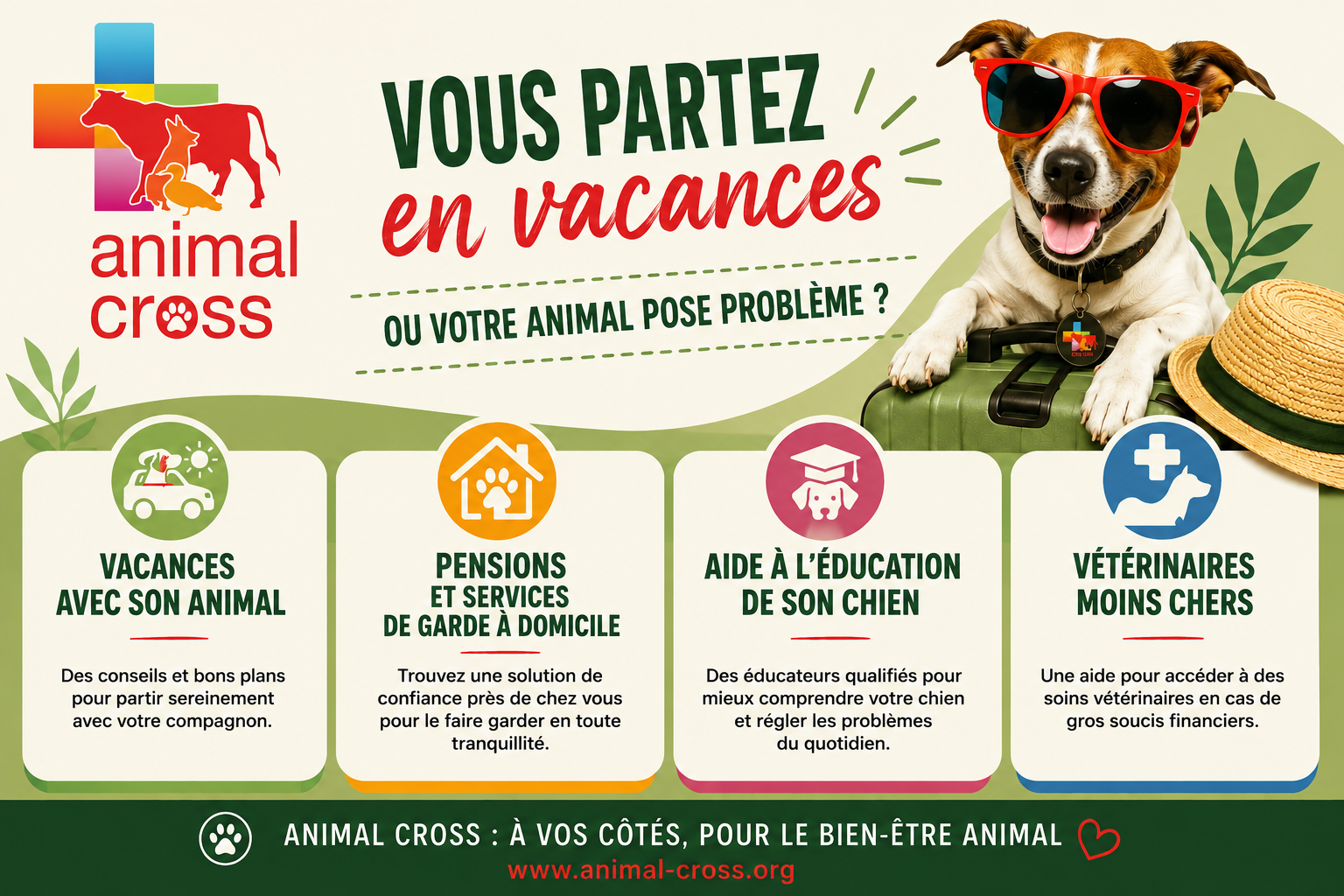 solutions alternatives abandon animal