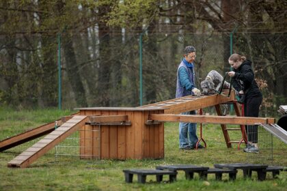 Propriétaire accompagnée par une éducatrice canine lors d’un exercice avec son chien