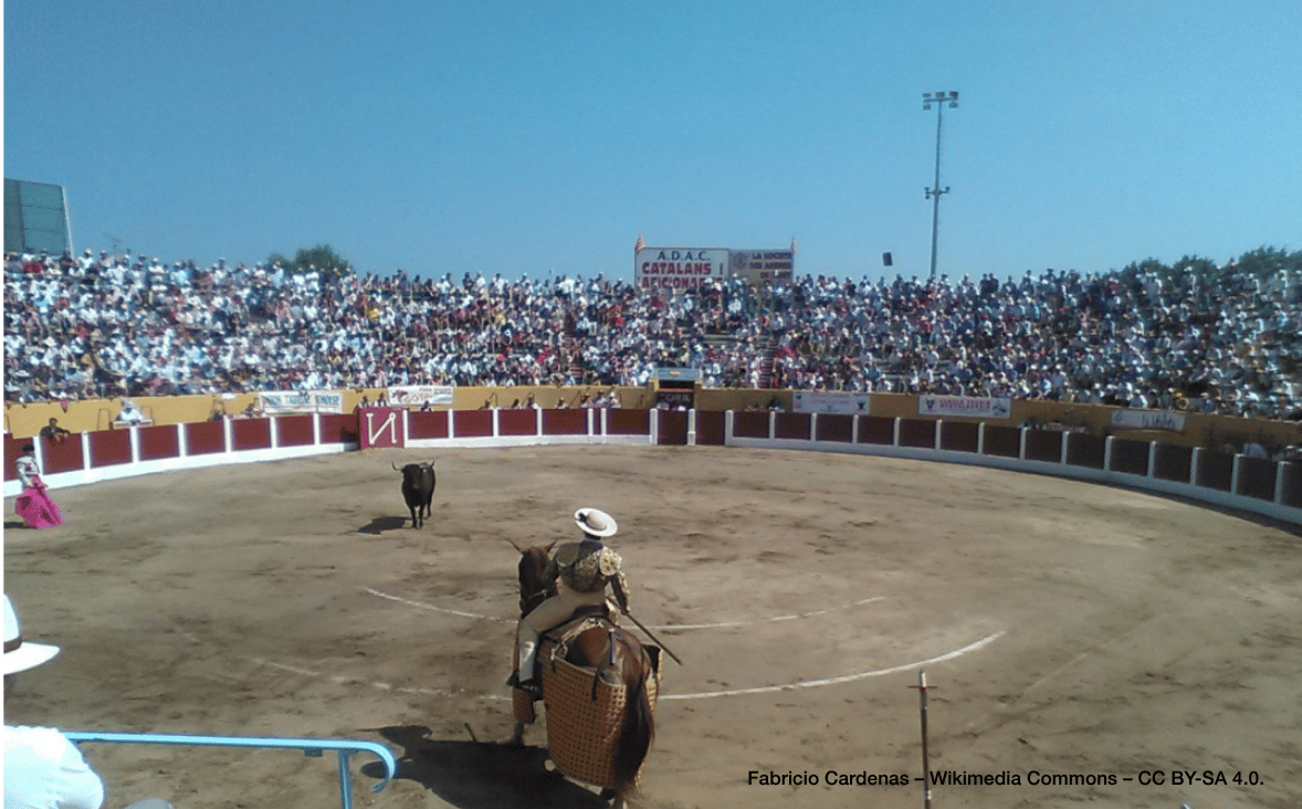 Victoire juridique à Palavas-les-Flots : la justice administrative met un coup d&rsquo;arrêt à la corrida